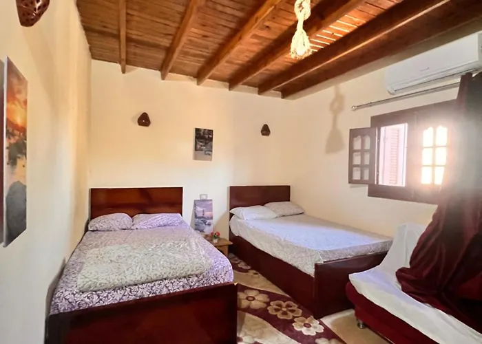 Wanasa House Daire